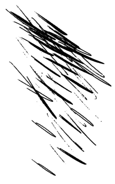 0.jpg