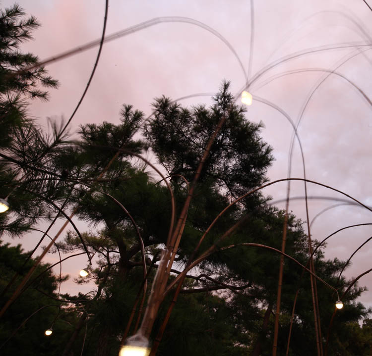 20130407033026800.jpg