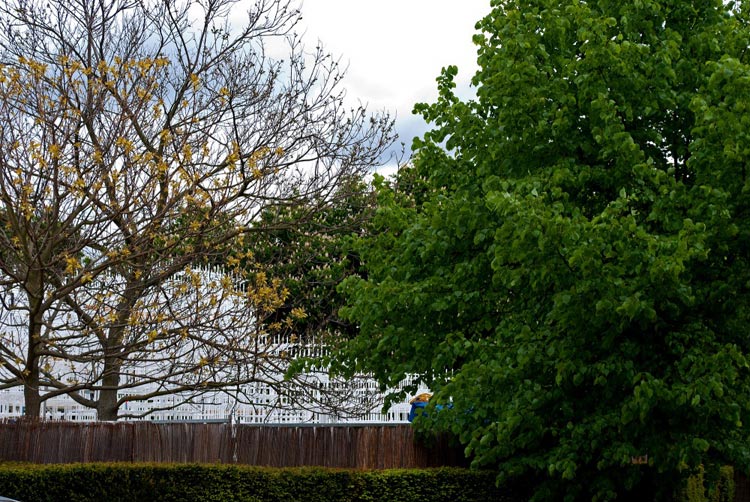 20130608035834916.jpg